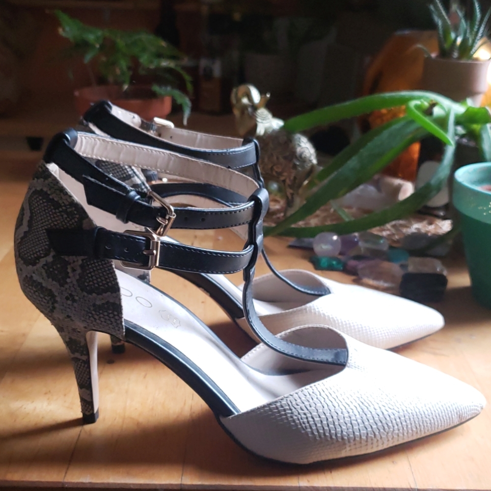 Aldo Pumps